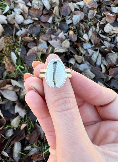 Size 7.5 Cowrie Ring