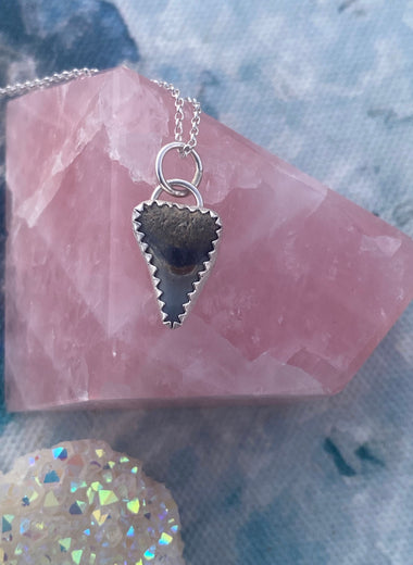 Shark Tooth Necklace